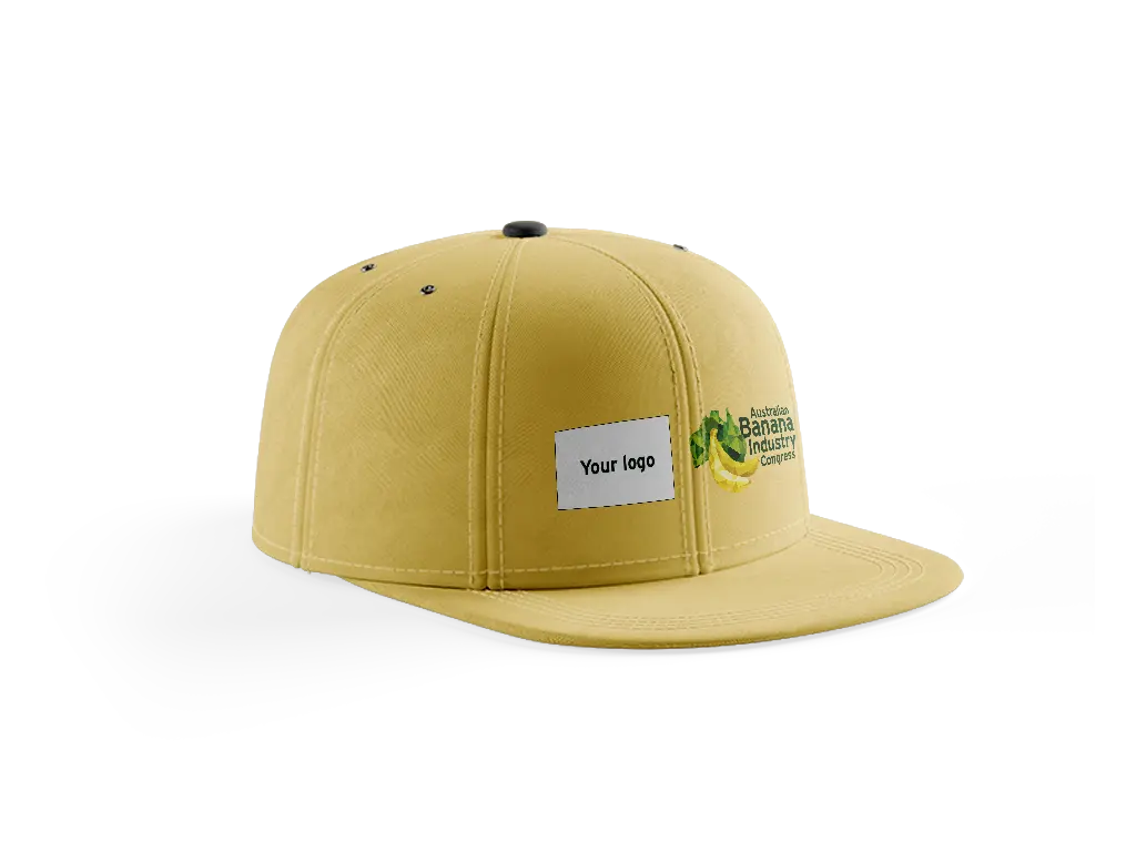 ABIC27_Cap_Mockup
